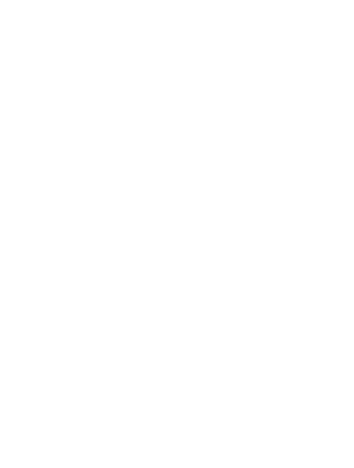 Wirl Wäscherin